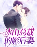 冰山总裁的影后妻