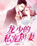 龙少的私宠甜妻