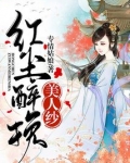 红尘醉挽美人纱