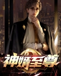 神婿至尊