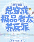 快穿虐渣:总穿成极品老太养反派