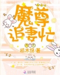 魔尊追妻忙