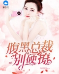 腹黑总裁别硬撩