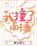 我撞了南墙