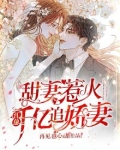 甜妻惹火:江总千亿追娇妻