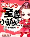 凤倾天下:至尊小萌妃