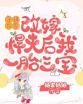 穿越九零,改嫁悍夫后我一胎三宝