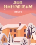 四合院:何雨柱的阳光农场