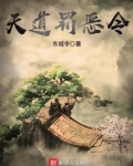 天道罚恶令