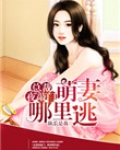 总裁夜敲门:萌妻哪里逃
