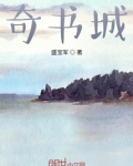 奇书城