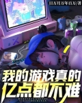 我的游戏真的亿点都不难