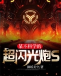 某不科学的超闪光炮S