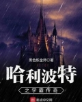 霍格沃茨的学霸传奇