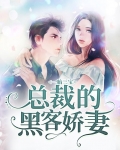 一胎三宝,总裁的黑客娇妻