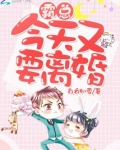 霸总今天又要离婚