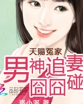 天赐冤家:男神追妻囧囧碰