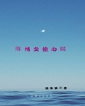 陈情之偷心贼
