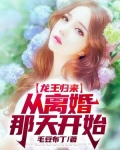 龙王归来:从离婚那天开始