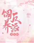 饲养反派少年时