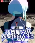 赛博朋克:传奇人生