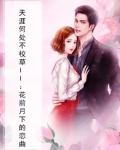 天涯何处不校草II:花前月下的恋曲