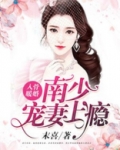 入骨暖婚:南少宠妻上瘾