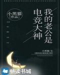 我的老公是电竞大神