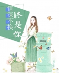 情深不换终是你