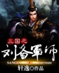 三国之刘备军师