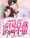 新婚夜,我怀了帝国总裁的两个崽